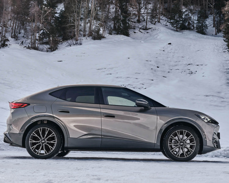 AEZ Toronto dark Banner 2