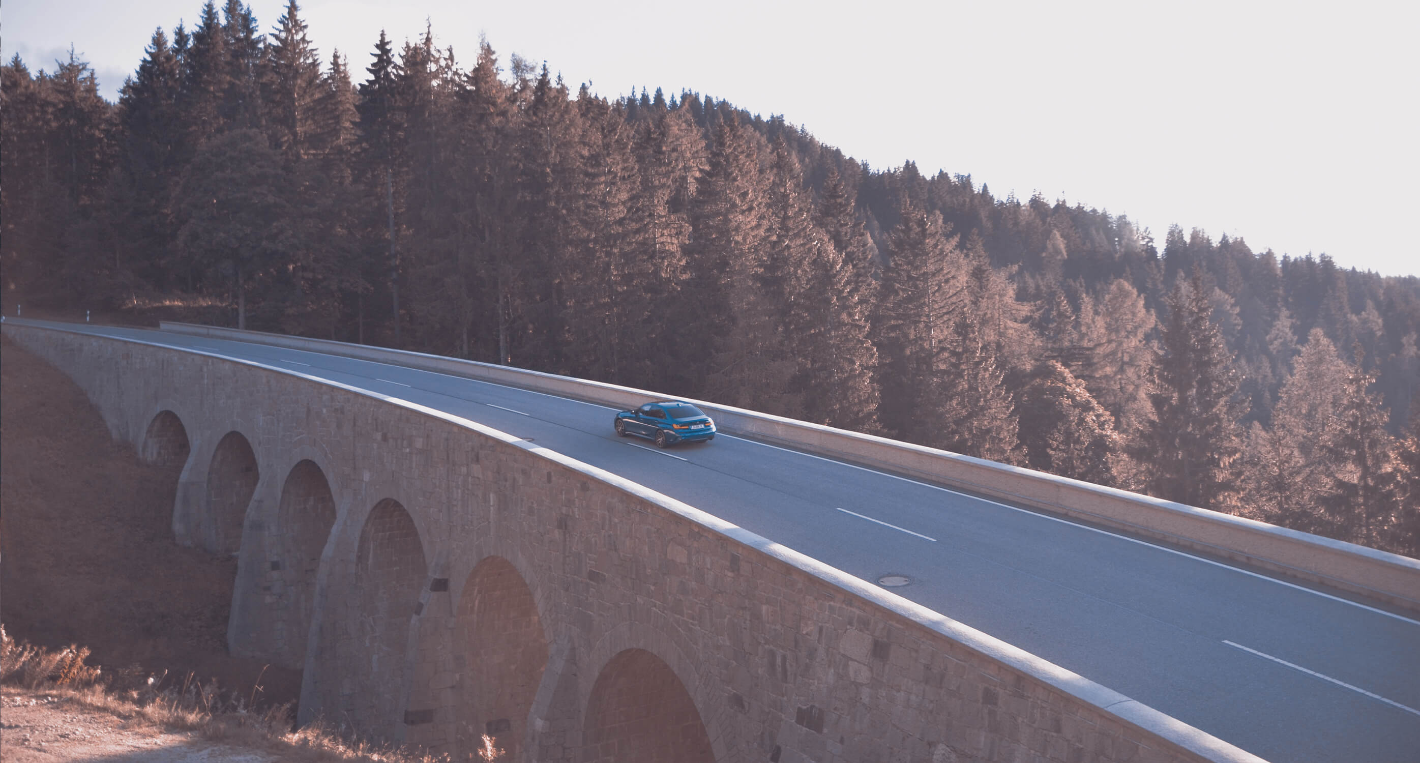AEZ Kaiman dark & BMW 330i